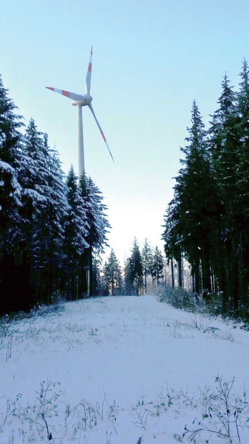 흑림지대의 풍력발전기는 시민이 출자해 세워졌고 수익금도 시민에게 돌아간다.
