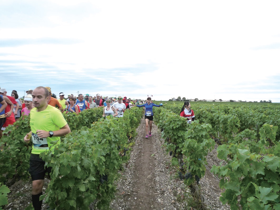 마라톤 참가자들이 보르도 포도밭 사이를 뛰고 있다. 와인을 만드는 이곳 포도나무들은 짧게는 5~10년, 길게는 100년 된 것들도 있다.