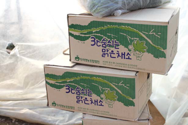 한 상자도 공판장에 팔지 않는다는 두리농장 채소.‘ 착한 농산물’의 가치를 아는 소비자에게 공급한다.