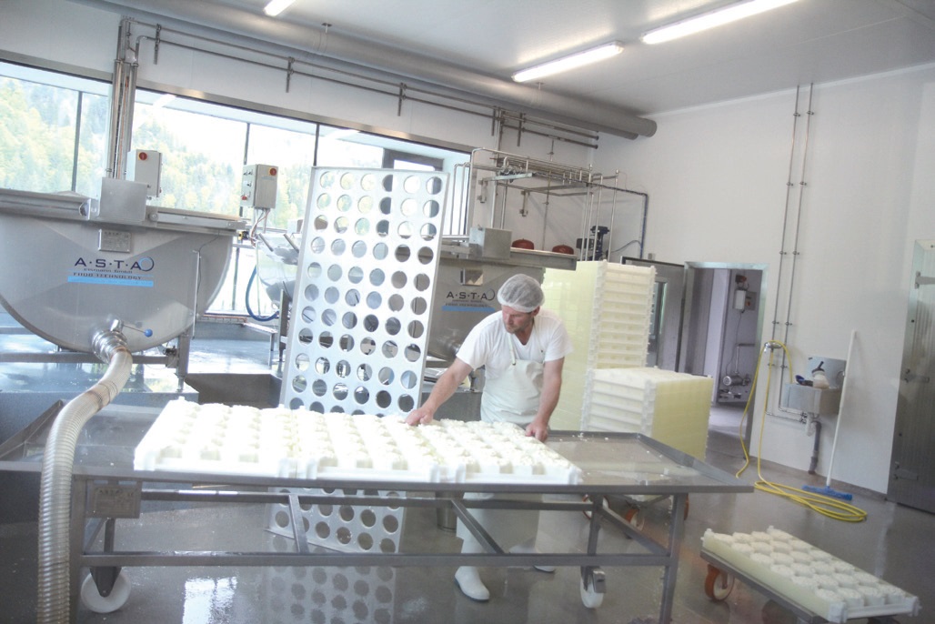 50여 농가가 풀만 먹여 키운 젖소가 생산한 우유로 매일 700개의 까망베 르 치즈를 만든다.