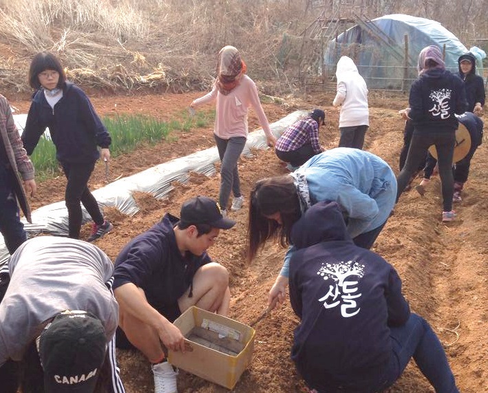 김종수 PD는 청년들을 대상으로 씨앗·땅·농사·GMO·에너지 등을 주제로 배움을 나누고 함께 텃밭을 가꾸는 생태텃밭교육을 4년째 이어오고 있다.