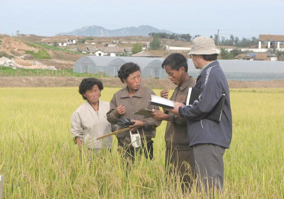 2007~2008년, 통일농수산사업단이 개성지역에서 진행한 남북공동영농사업의 현장. ⓒ통일농수산사업단