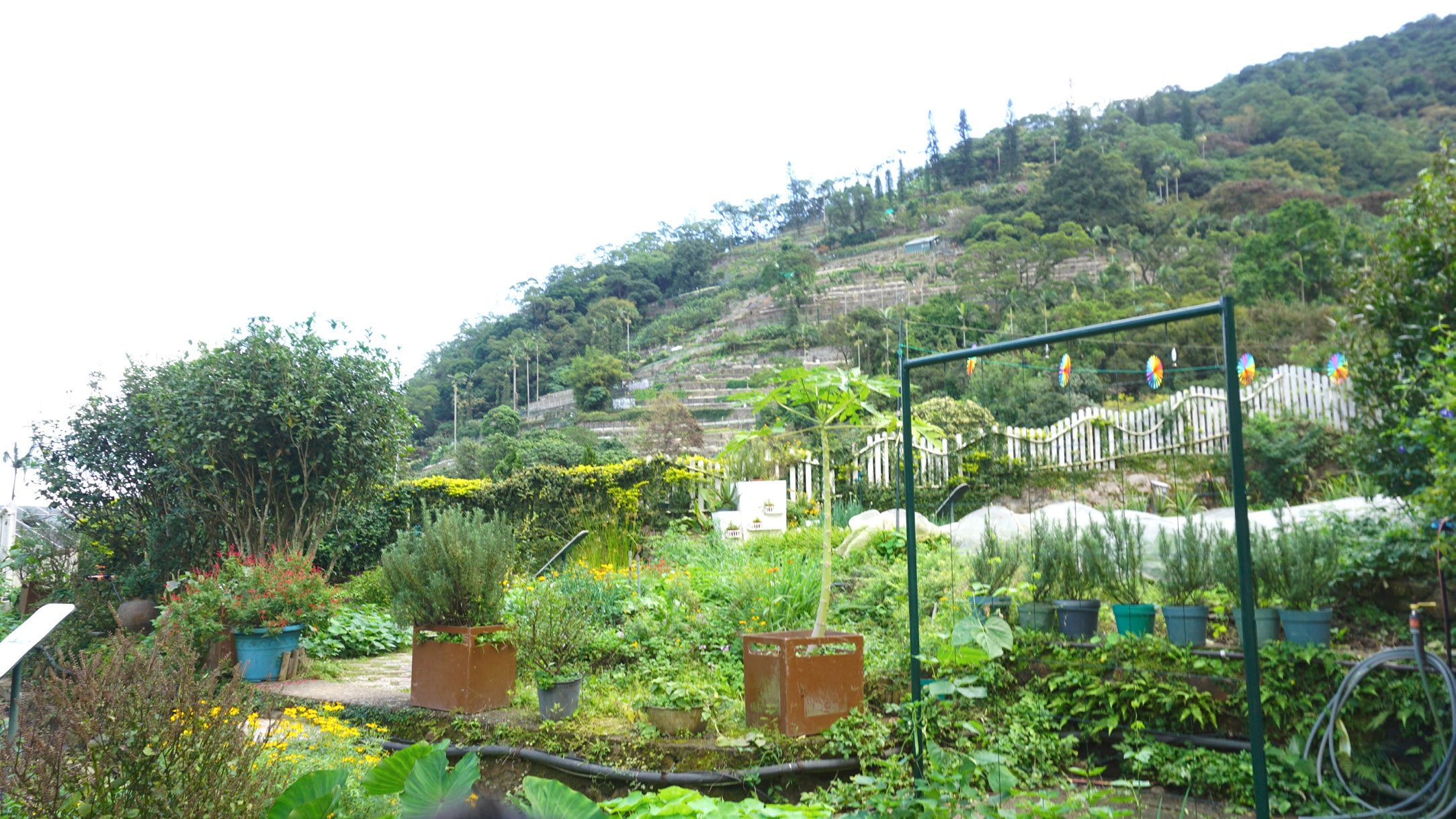 카두리농장에서는 고도에 따라 다른 식물을 재배한다.