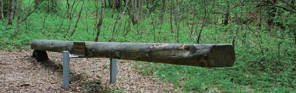 괴리스리트 마을의 자연 산책길에 있는 나무 시소. “자연환경과 균형을 유지하라”는 문구가 쓰여있다.