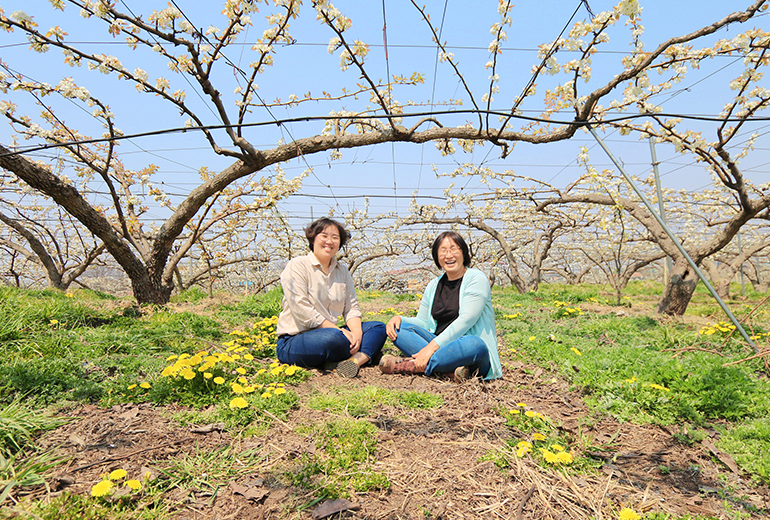 배꽃이 만발한 농가에서 김후주 씨와 어머니 장상희 씨(오른쪽)가 나란히 앉았다.