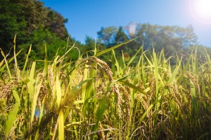 기획특집(윤석원) 1번 사진