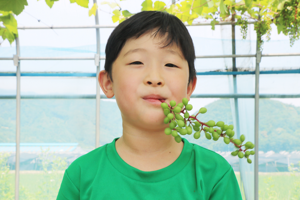 권성현 씨는 “아이가 자연을 놀이터 삼아 신나게 놀 때 시골살이 선택을 잘 했다는 생각이 든다”고 말했다.