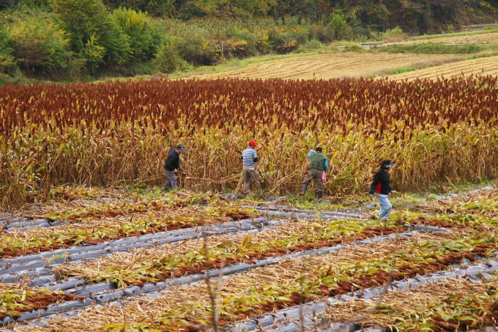 농어업은 이주노동자 없이 유지될 수 없는 상황에서 구조적인 환경을 바꾸는 데 함께 고민될 필요가 있다.