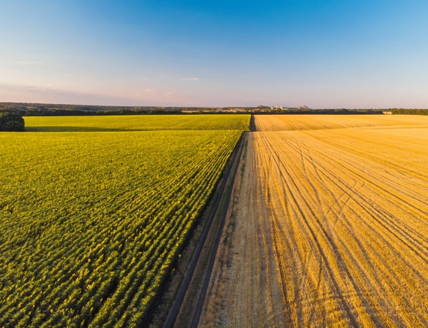 세계 최대 곡물 산지의 하나인 우크라이나가 전란에 휩싸이자 국제 곡물 가격은 급등했다