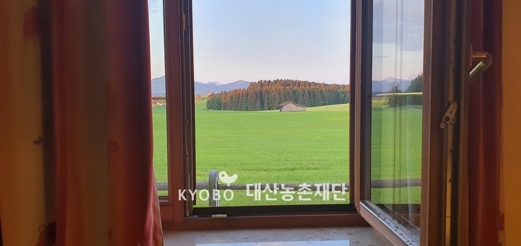 독일 농가민박형 호텔 창문으로 바라본 풍경.