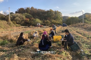 생강 수확을 도와주러 온 지인들.