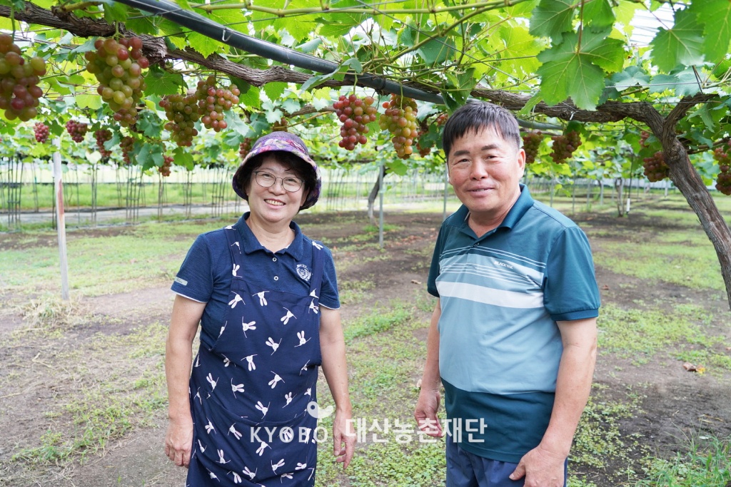 도덕현 씨와 홍일순 씨는 부부이자, 30년 가까이 함께 농사지어온 오랜 동지다