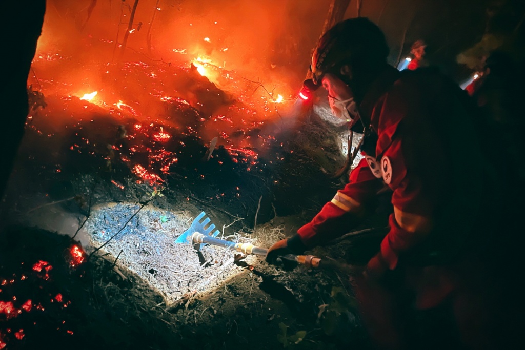 강원 양양군 산불 현장에서 공중진화대원이 방화선을 구축하고 있다.