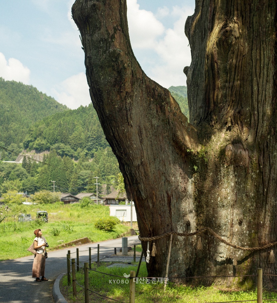 나무와 공존하는 도시에서는 사람과 자연이 균형과 조화를 이루며 살아간다.(일본 나가노현) 