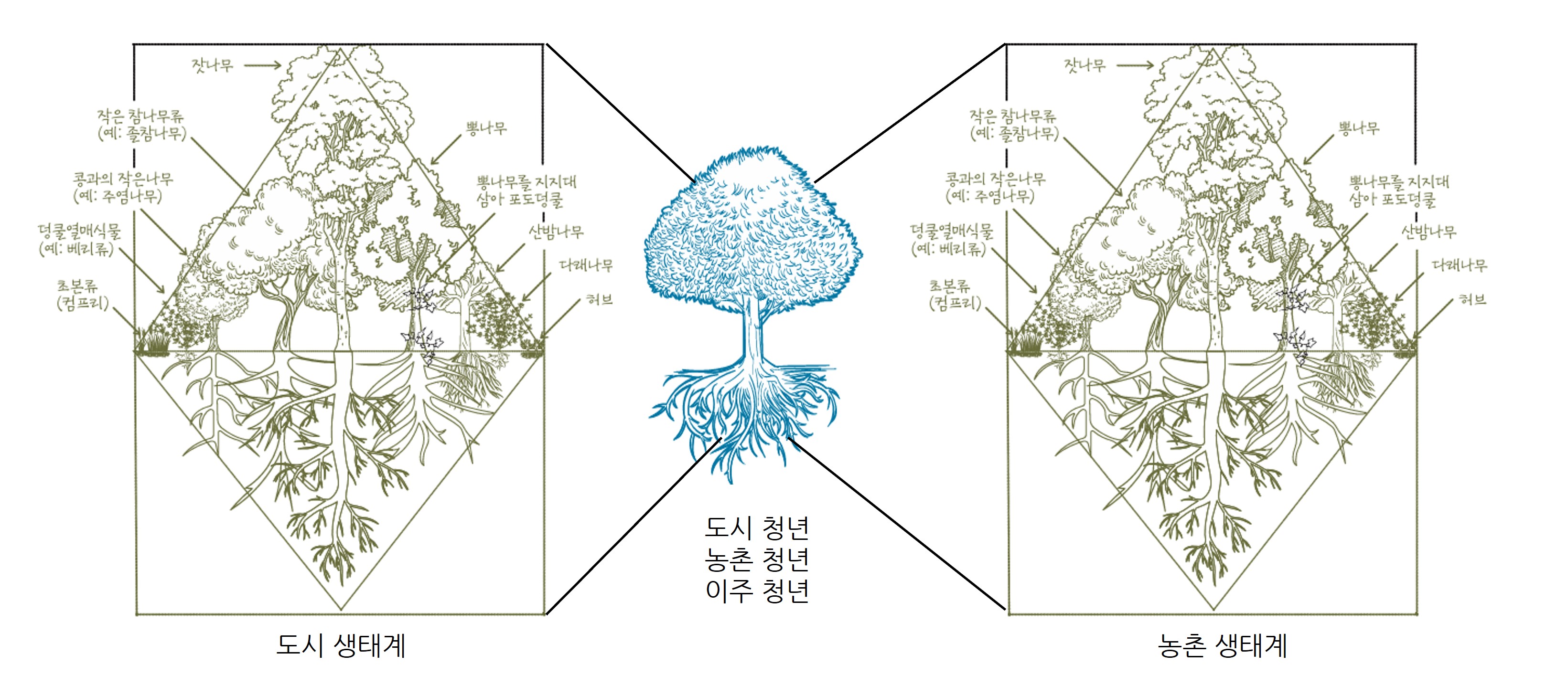 숲숲연결