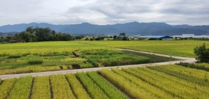 뉴스레터 썸네일용 사진